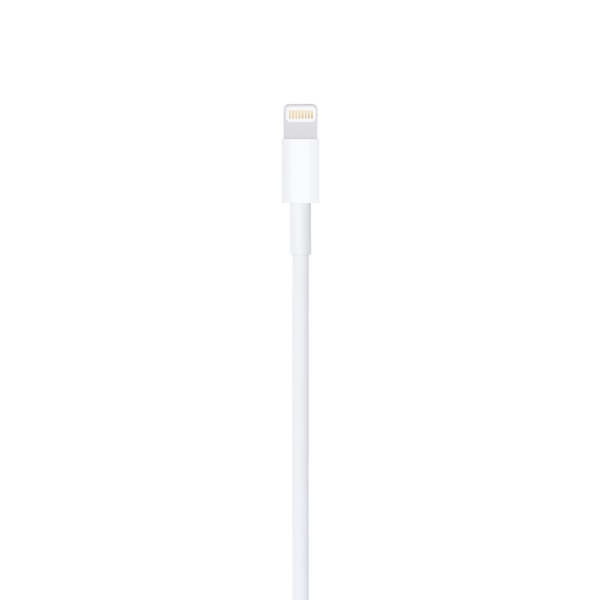 Câble Apple Lightning vers USB-A - Longueur 0,50 m - Blanc