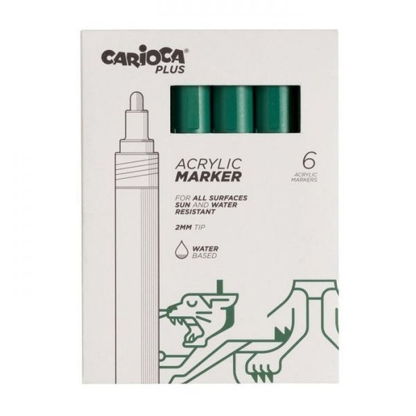 Carioca Plus Pack de 6 Marqueurs Acryliques - Pointe 2 mm - Couleur Vert