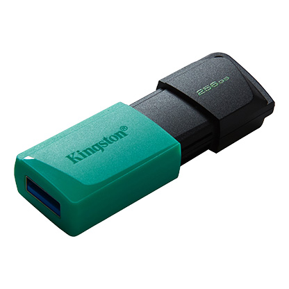 Clé USB Kingston DataTraveler Exodia M 256 Go