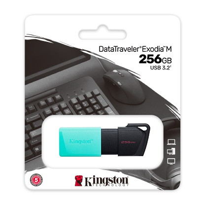 Clé USB Kingston DataTraveler Exodia M 256 Go