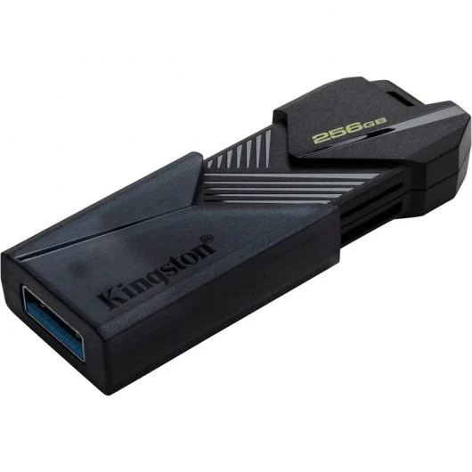 KINGSTON Clé USB 3.2 Gen. 1 - 256 Go