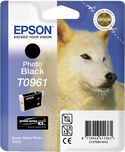 Epson cartouche encre T0961 noir