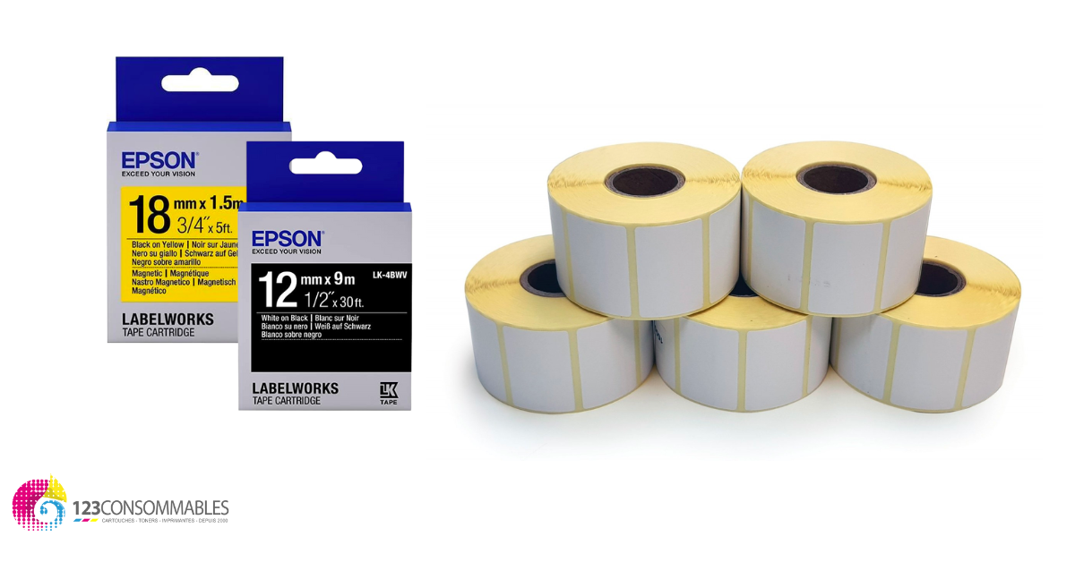 Ruban d'étiqueteuse thermique P10 adapté, étiqueteuse standard laminée,  10,2 x 15,2 cm, 220 étiquettes/rouleau, papier d'étiquettes d'impression  thermique P10 (blanc) : : Fournitures de bureau