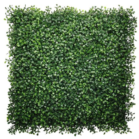 Jardin vertical Sungarden Série Floraria 50x50cm - Couleur verte