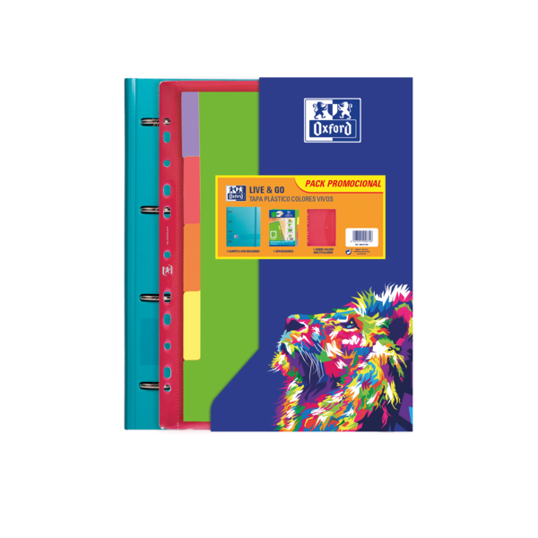 LOT de 10 Oxford Europeanbinder Oxfl&G A4+Pp Sb+Sep Viv Sur – Classeur européen à anneaux – Format A4+ – Fabriqué en polypropylène – Intercalaires lumineux et colorés