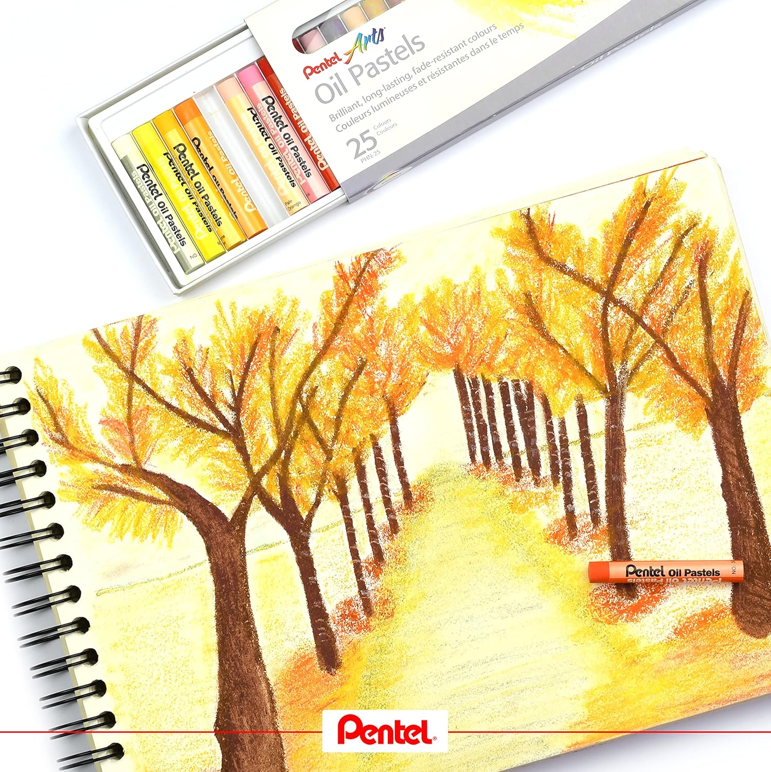 Pentel Pastels à l'huile Lot de 25 pastels à l'huile - Doux, crémeux et séchage lent - Couleurs assorties